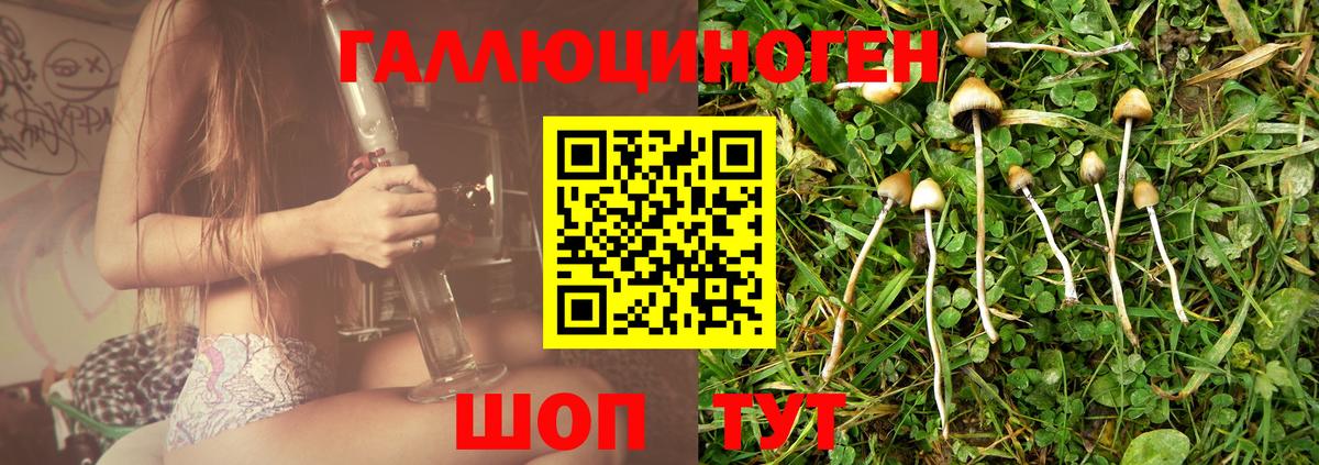Псилоцибиновые грибы ЛСД  Вход с VPN  Керчь 