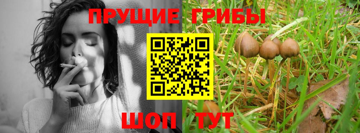 Псилоцибиновые грибы мицелий Керчь